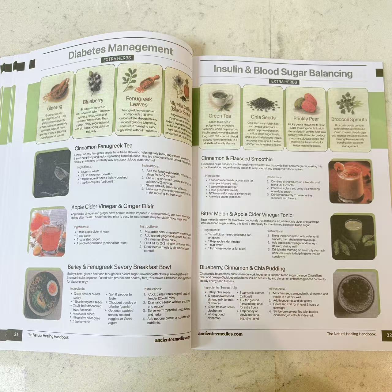 Руководство по естественному з – обзор и цена Herbal Holistic Wellness