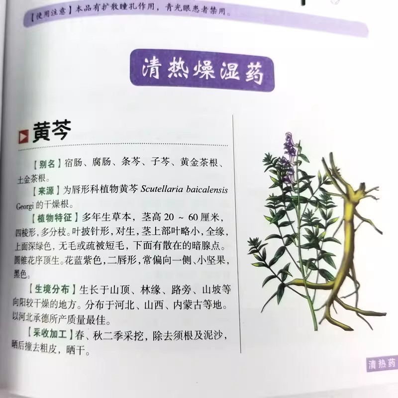 Книга «Древний гербарий: Целос – обзор и цена Herbal Holistic Wellness